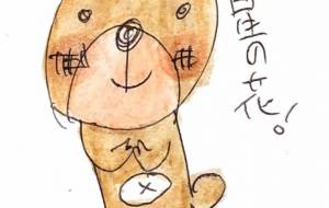 星の花 - 空叶論