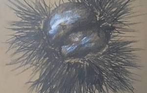 一緒、生きた、秋の祈り - 真鍋哲地