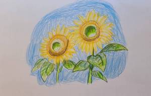 ひまわり - 【イベント】日本メタバース協会「ディセントラランド」NFT+原画販売