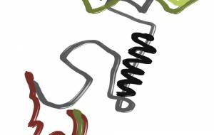 Walking Walking - 泉 里彩