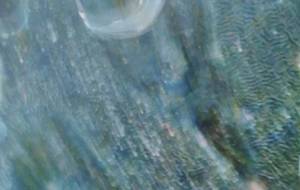 月夜 - 久保田 俊