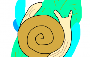 かたつむり - akinobu_n