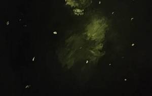 改正鬼涙作品 - 真鍋哲地