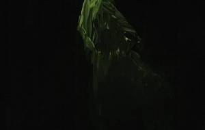 恋人は死に、仕事はクビ、自殺に向かう彼女 - 真鍋哲地