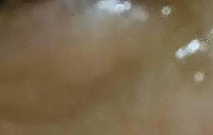 信じてた信じてた信じてた信じてた - 真鍋哲地