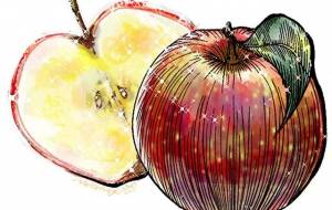 Antique Apple - わらびい
