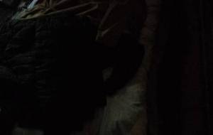 貧困、父、湯タンポ入れて静かに眠る - 真鍋哲地