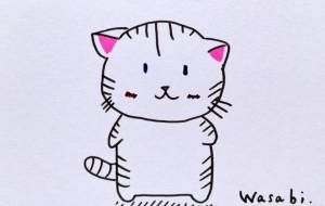 ねこ(しま白) - wasabi