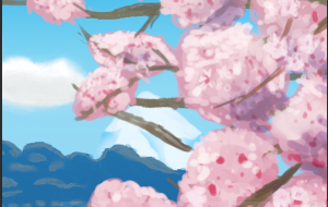 さくら -