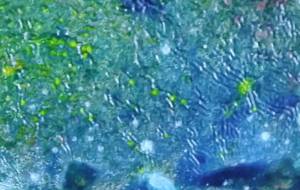 おんな - 久保田 俊