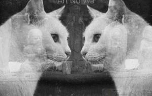 写真加工230114 - うっち