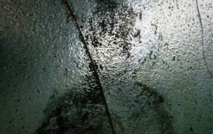 福祉仏、救済思い - 真鍋哲地