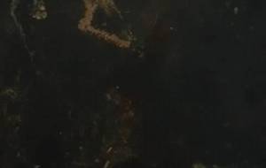 鉄錆アート生まれてきていいことない - 真鍋哲地