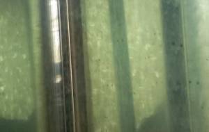 誰も愛てくれない汚い僕(神様も僕が嫌いですか?) - 真鍋哲地