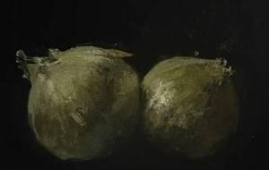 玉ねぎ、親子、愛(改正作品 3) - 真鍋哲地