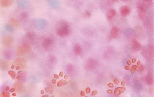 猫の足跡 - naomi