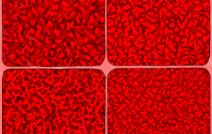 善玉菌と悪玉菌 - 古今。