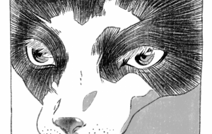 愛猫④ - 古今。