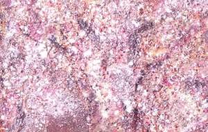 さくら - 久保田 俊