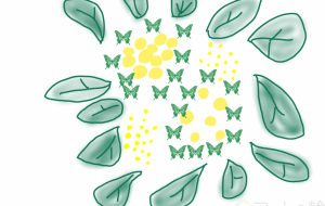 ミモザの花 - いちご