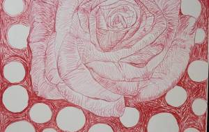 水玉と情熱の赤い薔薇 - 繭 