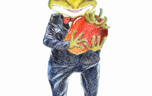 苺好きなカエル - のの