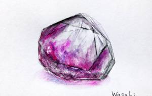 赤紫色の宝石 - wasabi 
