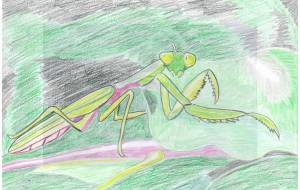 カマキリの冒険 - 猫職人