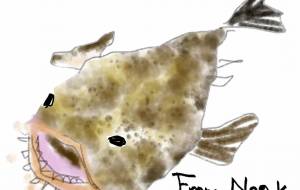 アンコウ、サイコウ - nao.k