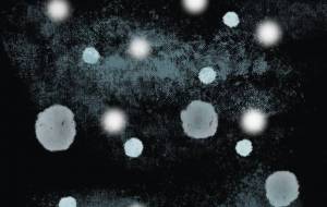 今日の雪 - とん