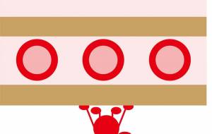 イチゴケーキ食べたい! - 猪野 兼士