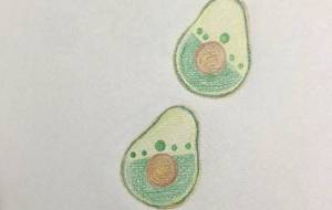 アボカド祭り - 絵言葉