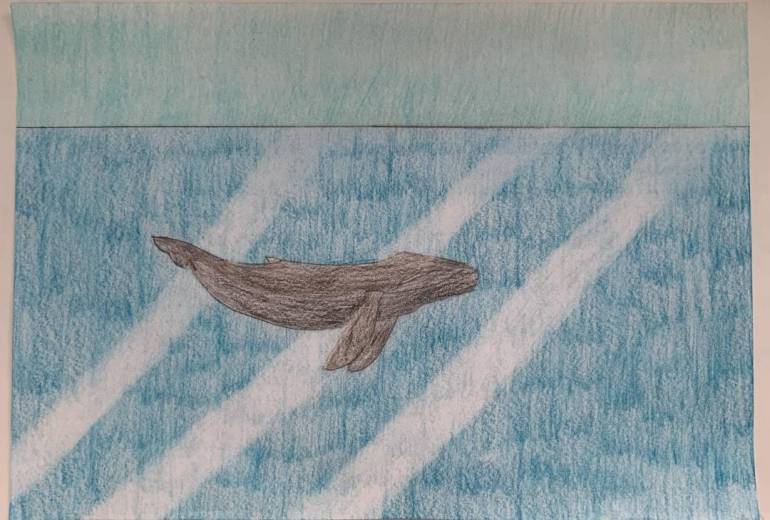 海で泳ぐクジラ