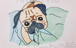 どんちゃんイタズラする - ミチェル