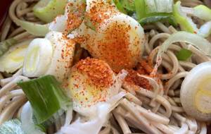 かけそば - 笹谷正博