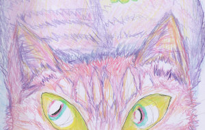 ピンクの猫 6 - ゆふーち