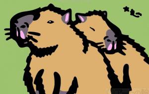 カピバラ - シマハイエナ