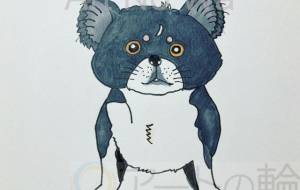 我が家の貴公子チワワくん - ミチェル