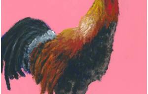 桃色の背景の鶏 - 阿部貴志 