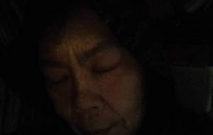 僕の大切な金色(こんじき)家族へ - 真鍋哲地