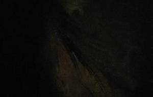 妖怪袋狢、人を愛してしまった - 真鍋哲地