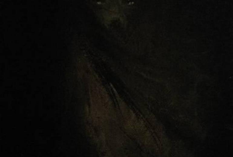 妖怪袋狢、人を愛してしまった