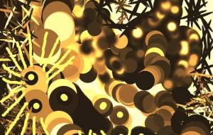 魂の叫び2 - 菅原たんぽぽ