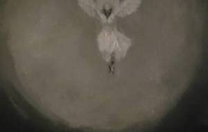 過去作品新解釈、愛鳥慈悲 - 真鍋哲地