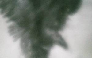 天狗、思い - 真鍋哲地