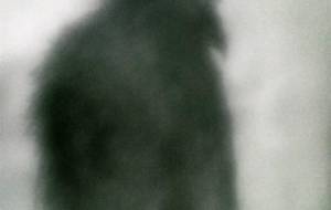 鴉天狗、嫌われ者?愛される者? - 真鍋哲地