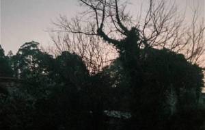 貴方、貴女、の夜明け - 真鍋哲地