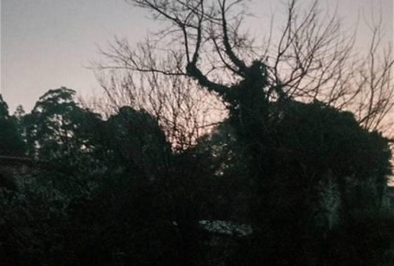 貴方、貴女、の夜明け