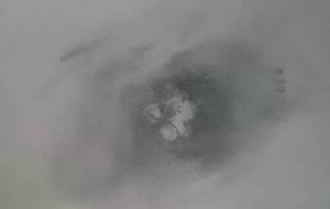 写実独学灯影梅作品 - 真鍋哲地