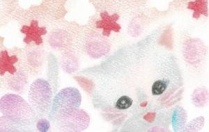 はるねこ - naomi